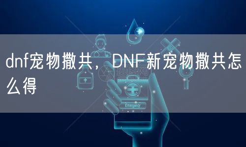 dnf宠物撒共，DNF新宠物撒共怎么得