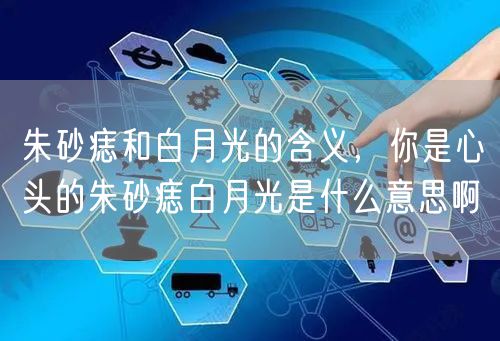 朱砂痣和白月光的含义，你是心头的朱砂痣白月光是什么意思啊