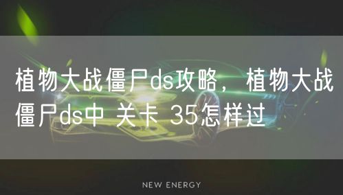 植物大战僵尸ds攻略，植物大战僵尸ds中 关卡 35怎样过