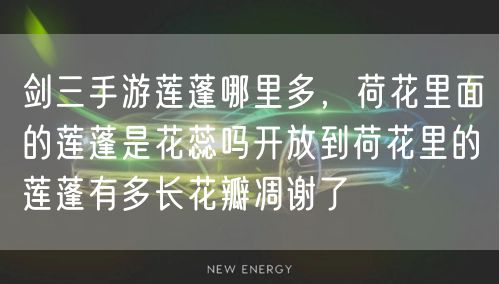 剑三手游莲蓬哪里多，荷花里面的莲蓬是花蕊吗开放到荷花里的莲蓬有多长花瓣凋谢了