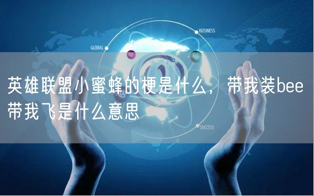 英雄联盟小蜜蜂的梗是什么,带我装bee 带我飞是什么意思