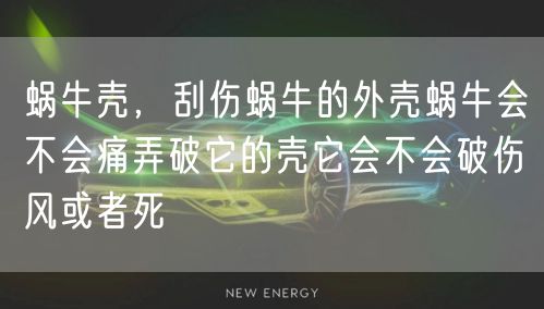 蜗牛壳,刮伤蜗牛的外壳蜗牛会不会痛弄破它的壳它会不会破伤风或者死