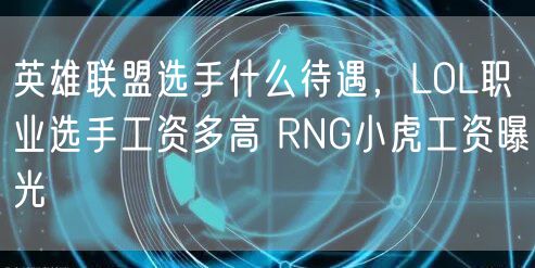 英雄联盟选手什么待遇，LOL职业选手工资多高 RNG小虎工资曝光