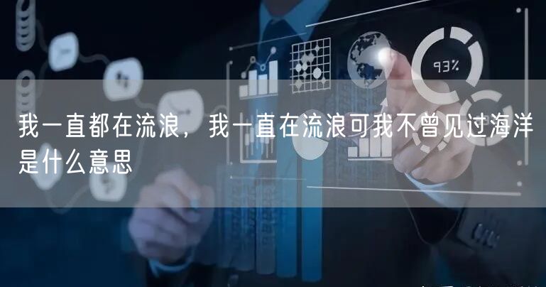 我一直都在流浪，我一直在流浪可我不曾见过海洋是什么意思