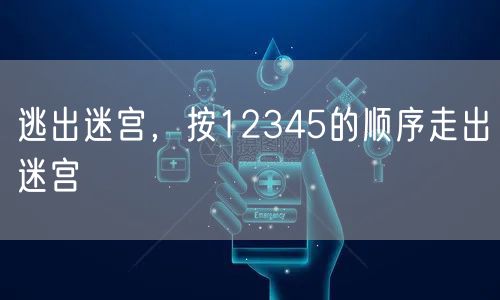 逃出迷宫，按12345的顺序走出迷宫