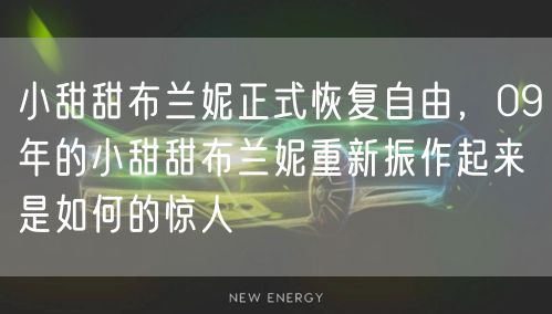小甜甜布兰妮正式恢复自由,09年的小甜甜布兰妮重新振作起来是如何的惊人