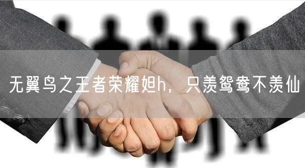 无翼鸟之王者荣耀妲h，只羡鸳鸯不羡仙