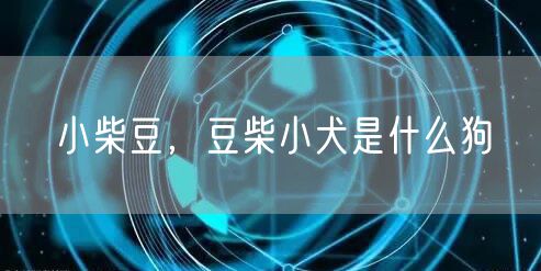 小柴豆，豆柴小犬是什么狗