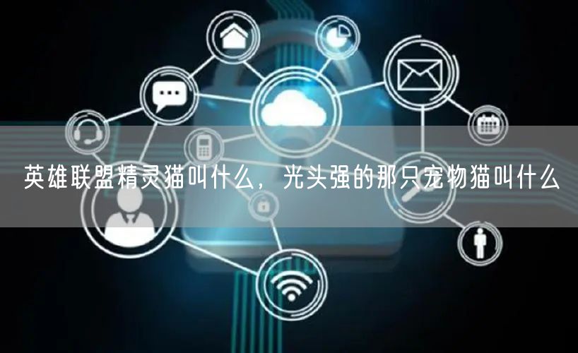 英雄联盟精灵猫叫什么，光头强的那只宠物猫叫什么