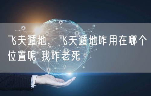 飞天遁地,飞天遁地咋用在哪个位置呢 我咋老死