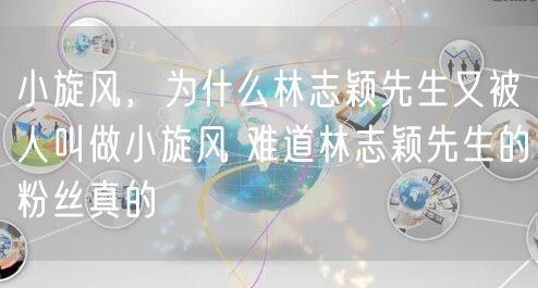 小旋风，为什么林志颖先生又被人叫做小旋风 难道林志颖先生的粉丝真的
