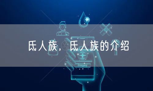 氐人族，氐人族的介绍