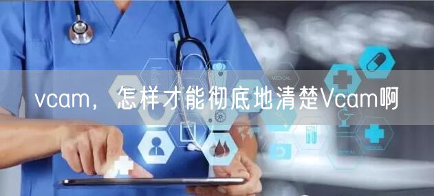 vcam，怎样才能彻底地清楚Vcam啊