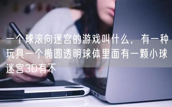 一个球滚向迷宫的游戏叫什么，有一种玩具一个椭圆透明球体里面有一颗小球迷宫3D有不