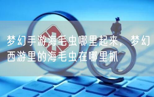 梦幻手游海毛虫哪里起来,梦幻西游里的海毛虫在哪里抓