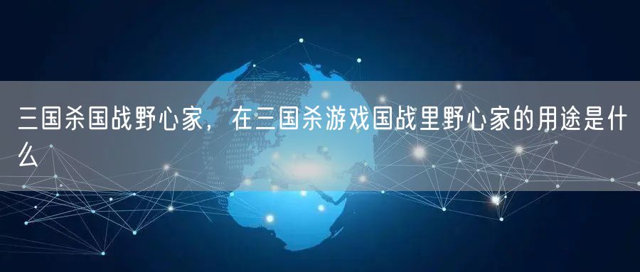 三国杀国战野心家，在三国杀游戏国战里野心家的用途是什么