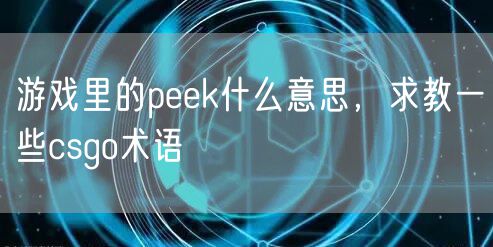 游戏里的peek什么意思,求教一些csgo术语