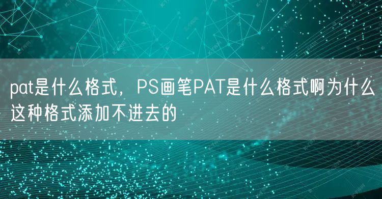 pat是什么格式，PS画笔PAT是什么格式啊为什么这种格式添加不进去的