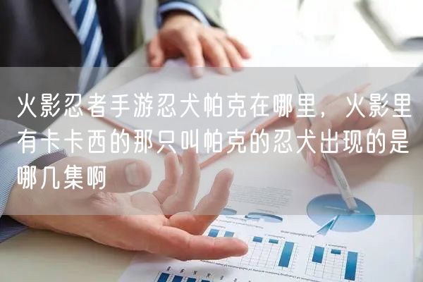 火影忍者手游忍犬帕克在哪里,火影里有卡卡西的那只叫帕克的忍犬出现的是哪几集啊