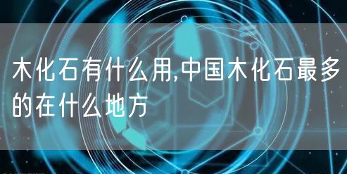 木化石有什么用,中国木化石最多的在什么地方