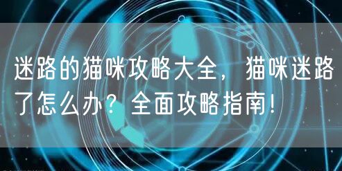 迷路的猫咪攻略大全，猫咪迷路了怎么办？全面攻略指南！