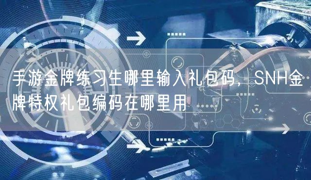 手游金牌练习生哪里输入礼包码,SNH金牌特权礼包编码在哪里用