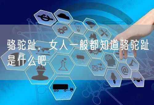 骆驼趾，女人一般都知道骆驼趾是什么吧