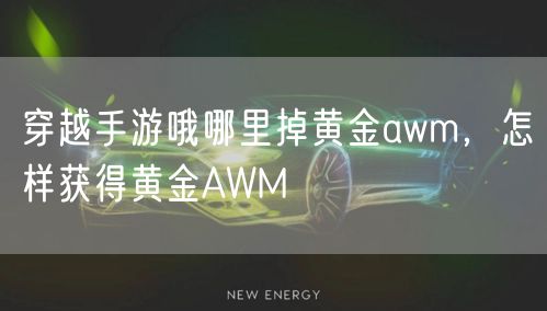 穿越手游哦哪里掉黄金awm，怎样获得黄金AWM