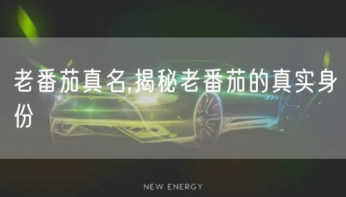 老番茄真名,揭秘老番茄的真实身份