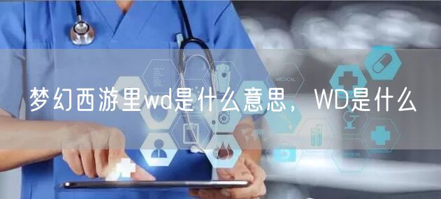 梦幻西游里wd是什么意思，WD是什么