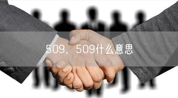 509，509什么意思