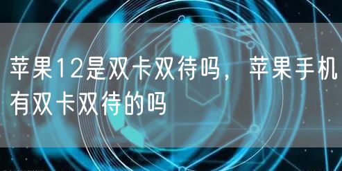 苹果12是双卡双待吗，苹果手机有双卡双待的吗