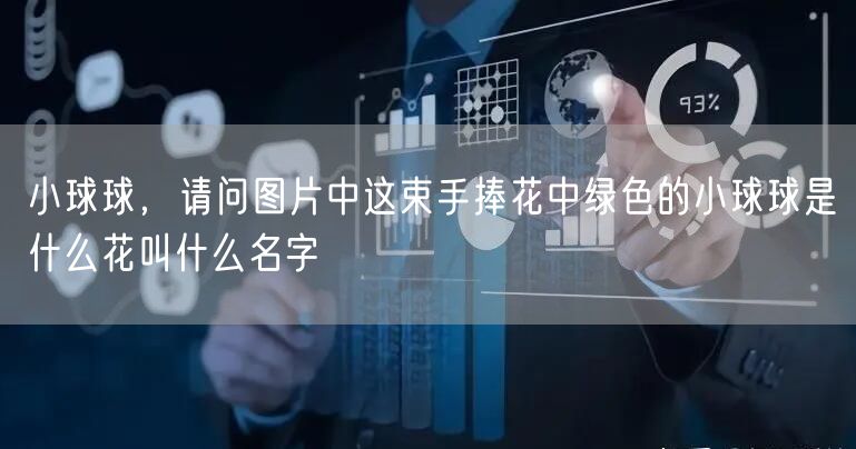 小球球，请问图片中这束手捧花中绿色的小球球是什么花叫什么名字