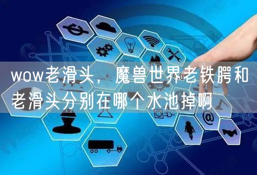 wow老滑头，魔兽世界老铁腭和老滑头分别在哪个水池掉啊