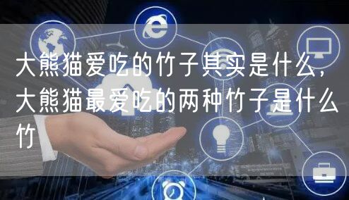 大熊猫爱吃的竹子其实是什么，大熊猫最爱吃的两种竹子是什么竹