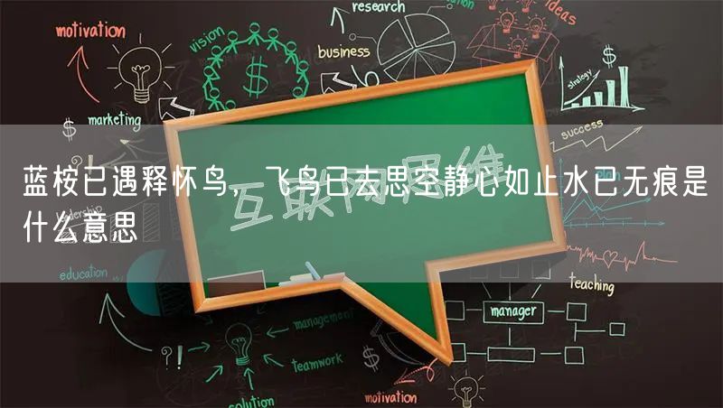 蓝桉已遇释怀鸟，飞鸟已去思空静心如止水已无痕是什么意思