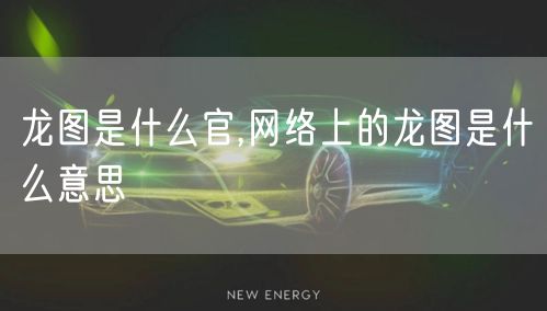 龙图是什么官,网络上的龙图是什么意思