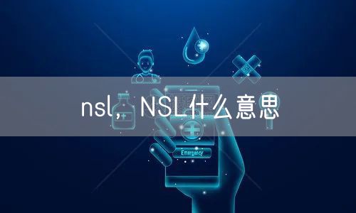 nsl，NSL什么意思