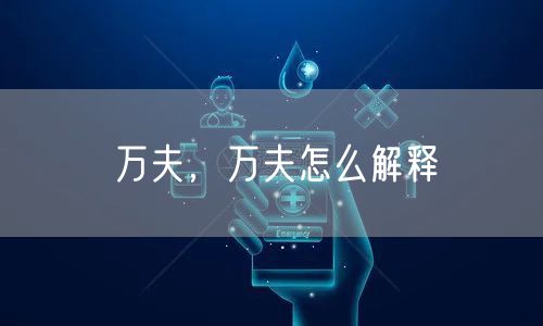 万夫,万夫怎么解释