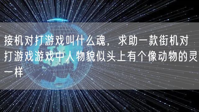 接机对打游戏叫什么魂，求助一款街机对打游戏游戏中人物貌似头上有个像动物的灵一样