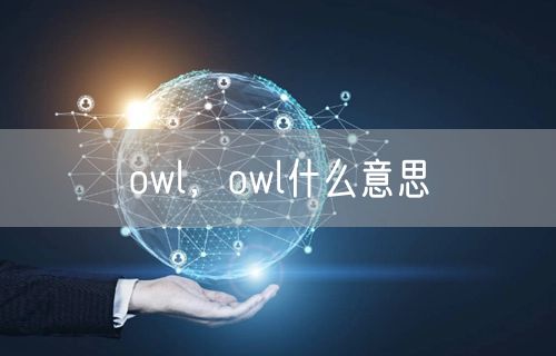 owl，owl什么意思