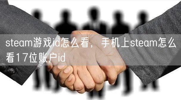 steam游戏id怎么看，手机上steam怎么看17位账户id