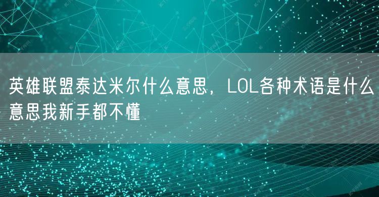 英雄联盟泰达米尔什么意思，LOL各种术语是什么意思我新手都不懂