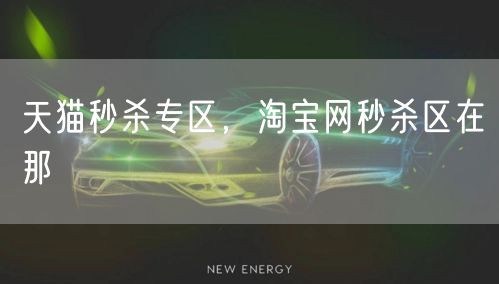 天猫秒杀专区，淘宝网秒杀区在那