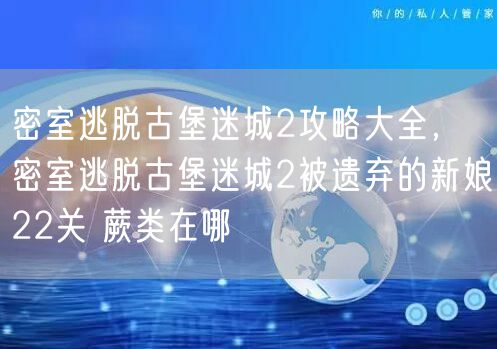 密室逃脱古堡迷城2攻略大全，密室逃脱古堡迷城2被遗弃的新娘22关 蕨类在哪