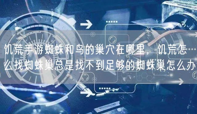 饥荒手游蜘蛛和鸟的巢穴在哪里，饥荒怎么找蜘蛛巢总是找不到足够的蜘蛛巢怎么办