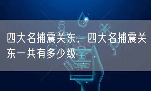 四大名捕震关东，四大名捕震关东一共有多少级