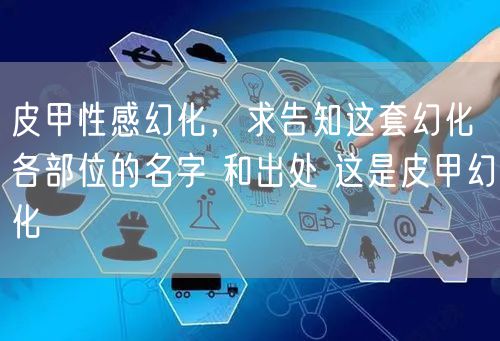 皮甲性感幻化，求告知这套幻化 各部位的名字 和出处 这是皮甲幻化