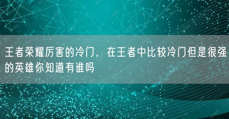 王者荣耀厉害的冷门,在王者中比较冷门但是很强的英雄你知道有谁吗