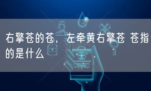 右擎苍的苍,左牵黄右擎苍 苍指的是什么